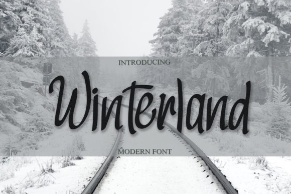 Winterland Font Poster 1