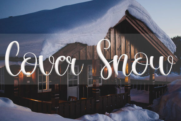Winterland Font Poster 2