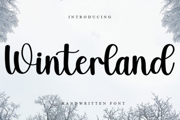 Winterland Font