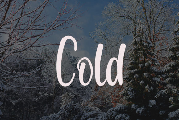 Wintersnow Font Poster 2