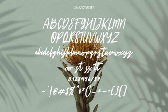 Winterstein Font Poster 8