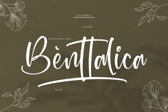 Wondelland Font Poster 12