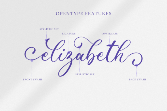 Wonderful Calligraphy Font Poster 7