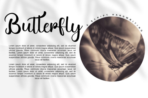 Wreathing Font Poster 4
