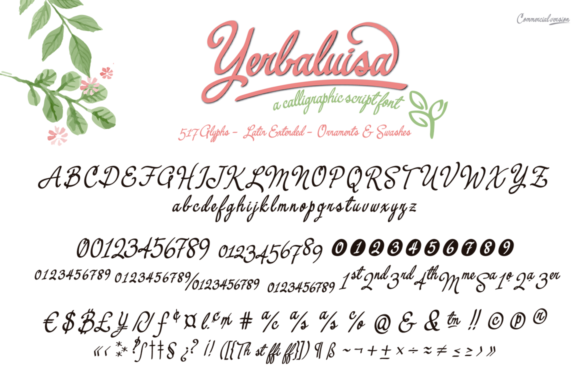 Yerbaluisa Font Poster 2