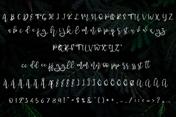 Young Boy Font Poster 7
