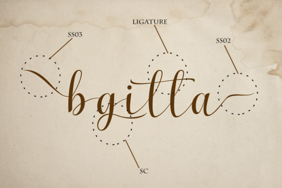 Zalika Font Poster 6