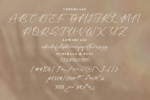 Zayttan Font Poster 13