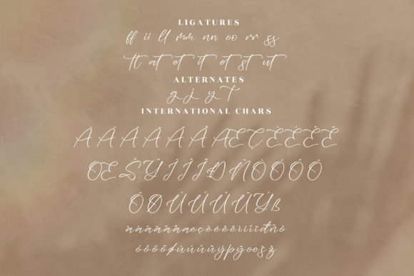 Zayttan Font Poster 14