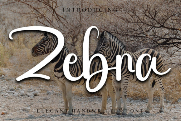 Zebra Font