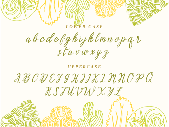 Zeer Beginner Font Poster 6