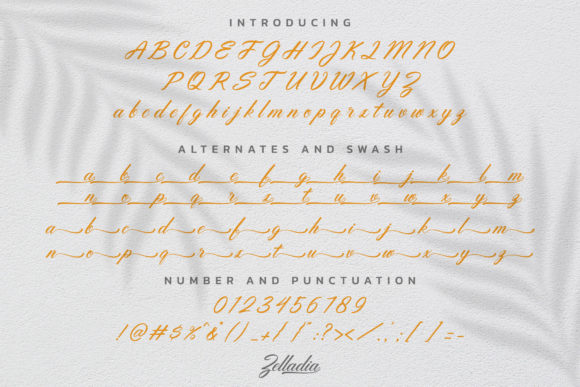 Zelladia Font Poster 9