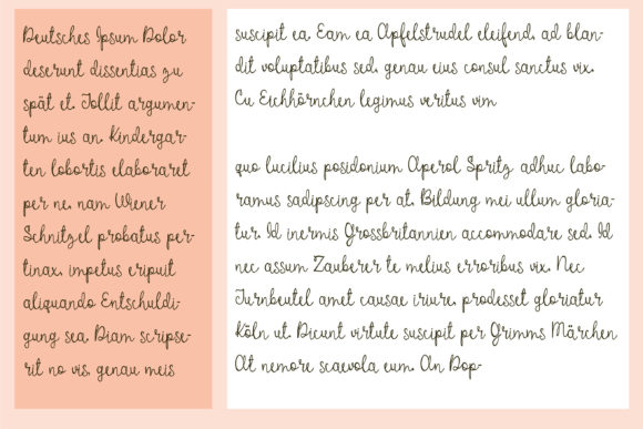 ZP Gingersnap Font Poster 5