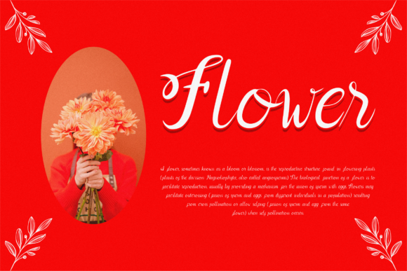 Abeely Belve Font Poster 7