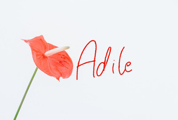 Adile Font