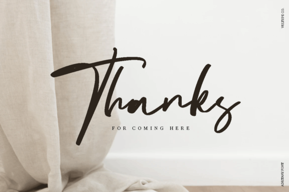 Adritany Font Poster 9