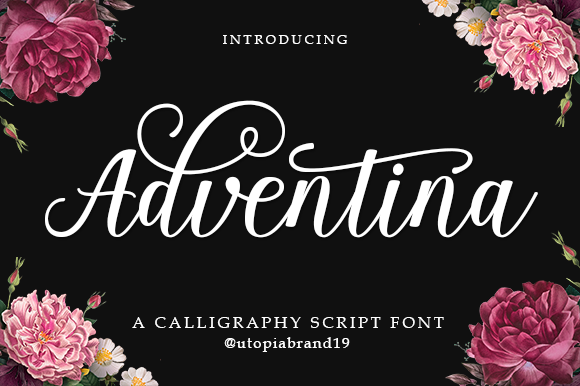 Adventina Script Font Poster 1