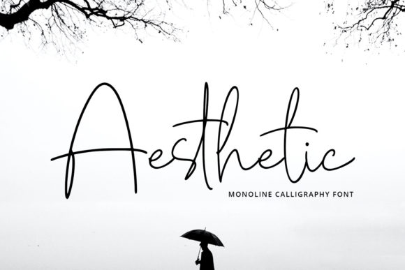 Aesthetic Font Poster 1