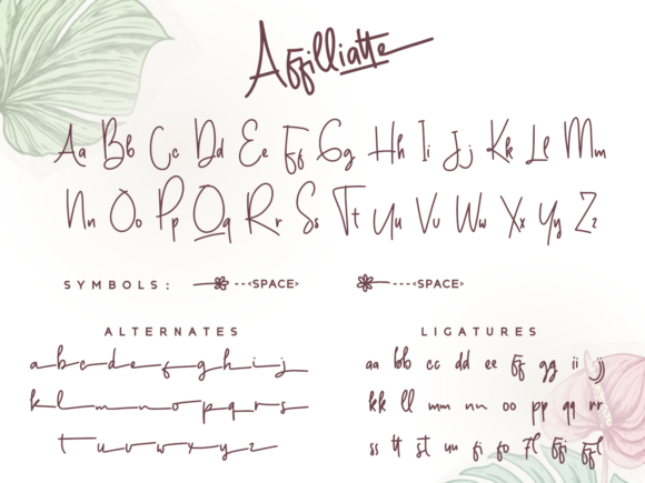 Affilliatte Area Font Poster 7