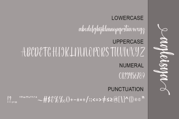 Agleisya Font Poster 5