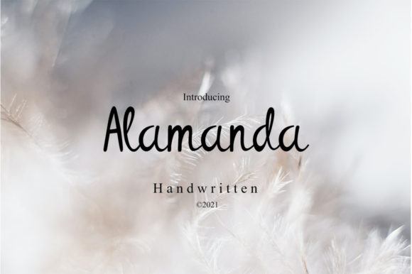 Alamanda Font Poster 1