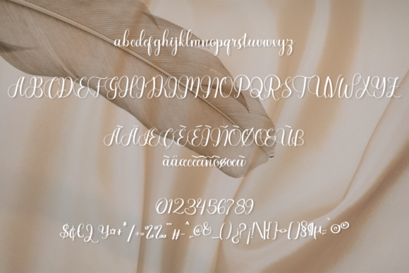 Alexandria Font Poster 5