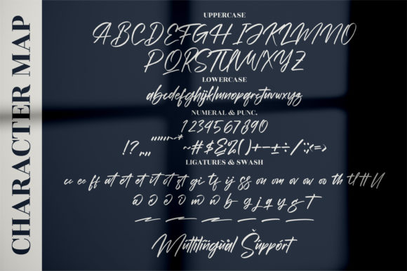Alishakey Font Poster 12