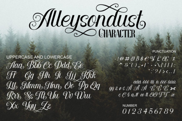 Alleysondust Font Poster 5