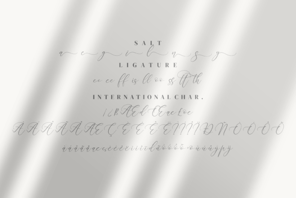 Almyrada Script Font Poster 7