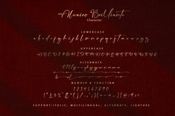 Alvairo Brilliante Font Poster 9