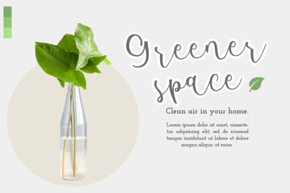 Amalena Font Poster 8