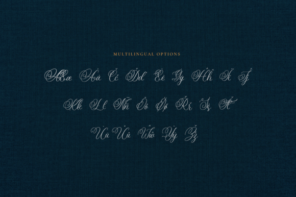 Amanda Calligraphy Font Poster 10