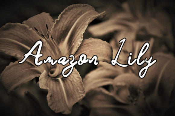 Amazon Lily Font Poster 1