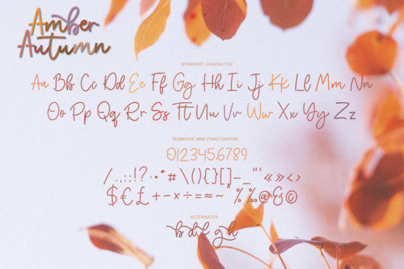 Amber Autumn Font Poster 11