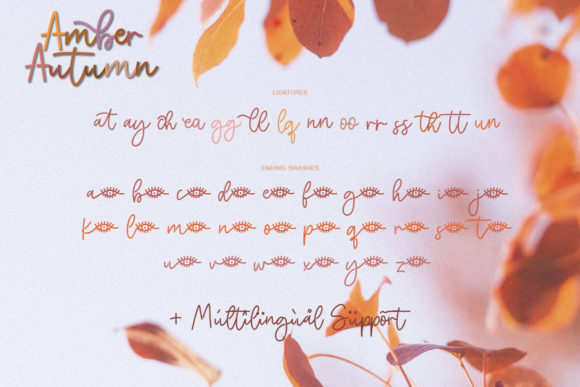 Amber Autumn Font Poster 12
