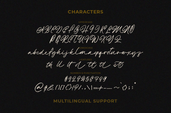 Amelia Bright Font Poster 5