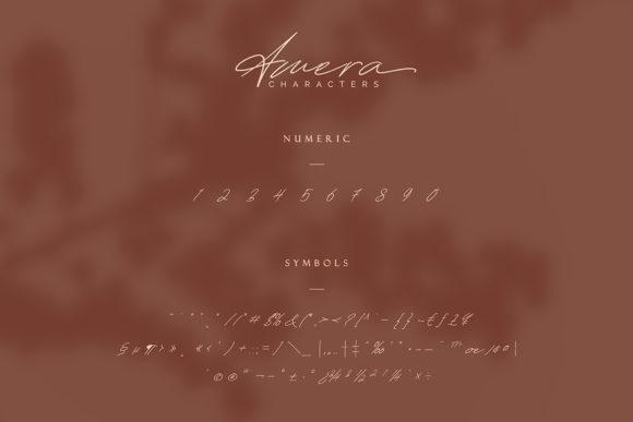 Amera Font Poster 6