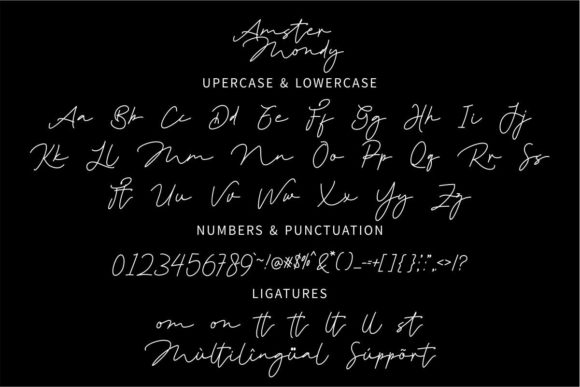 Amster Mondy Font Poster 2