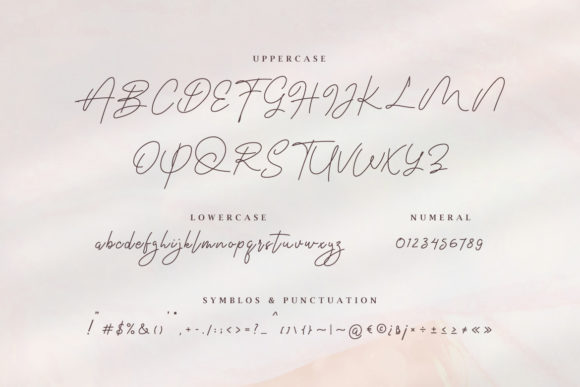 Anastasia Signature Font Poster 2