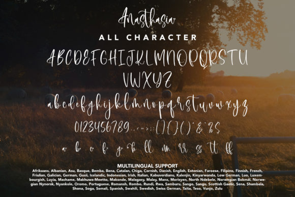 Anasthasia Font Poster 9