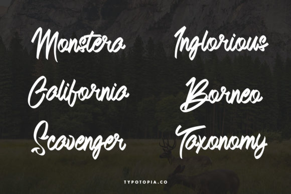 Andals Font Poster 3