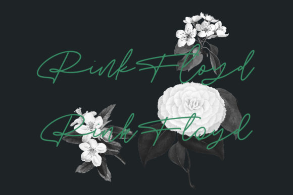 Angel Rise Font Poster 2