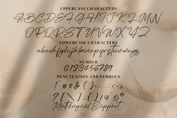 Angelin Font Poster 6