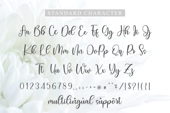 Angeliva Font Poster 9