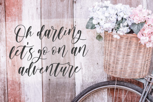 Apricot Farmhouse Font Poster 5