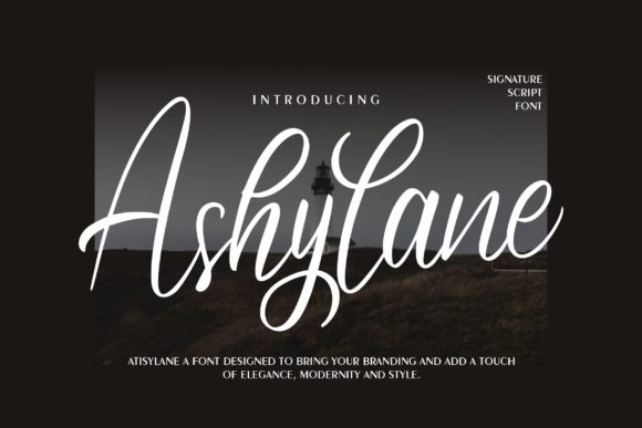 Ashylane Script Font Poster 1