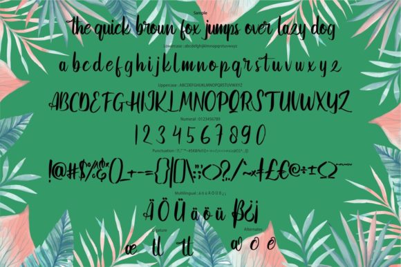 Asikira Font Poster 6