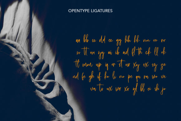 Astavilla Script Font Poster 9
