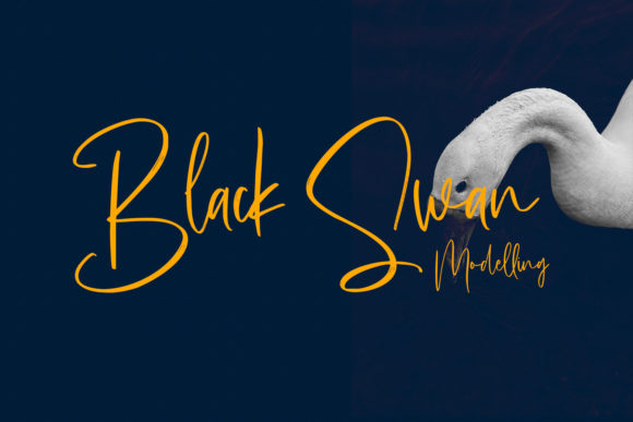 Astavilla Script Font Poster 10