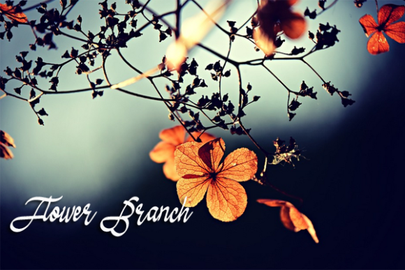 Autumn Font Poster 2